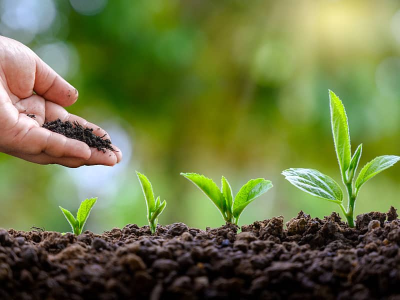 有機肥料為什麽受有機農業關注和重視?